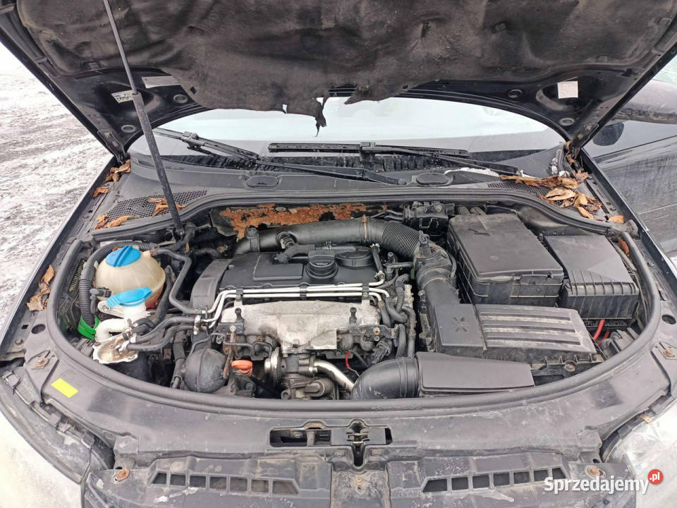 Audi A3 3drzwiowe Audi A3 20TDI 140 03r 8P małopolskie Tarnów