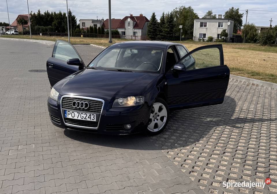 Audi A3 8P 16 benzyna 2005 wielkopolskie Dopiewiec