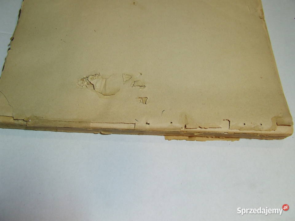 Polnische Dokumente zur Vorgeschichte des Czeladź