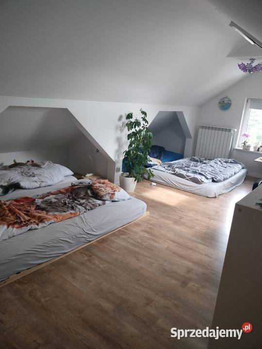 Dom Michałów Reginów SKm 900m2 sprzedam