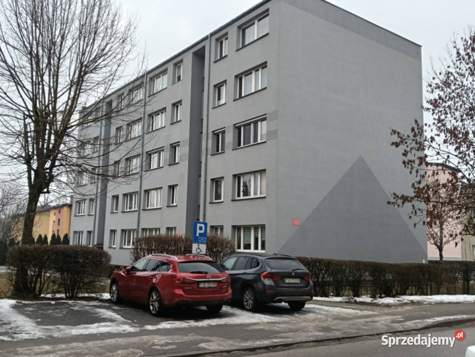 Duża Kawalerka świętokrzyskie Jędrzejów