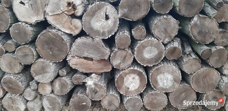 Drewno Radgoszcz