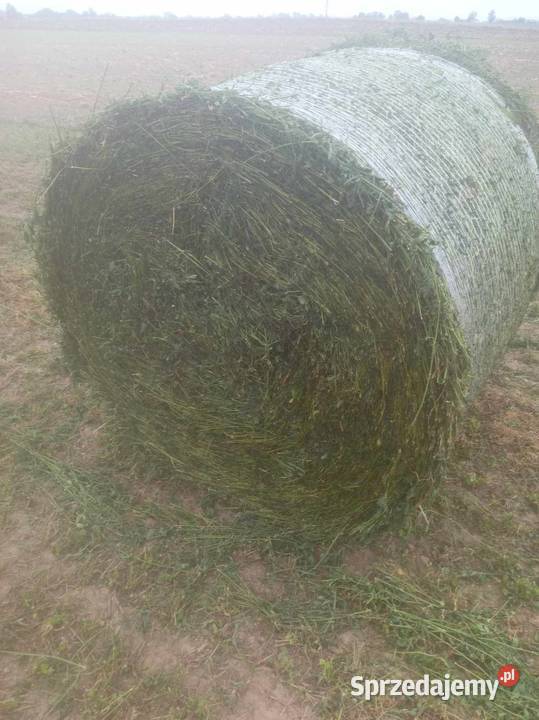 Sprzedam prasę metal fach z562