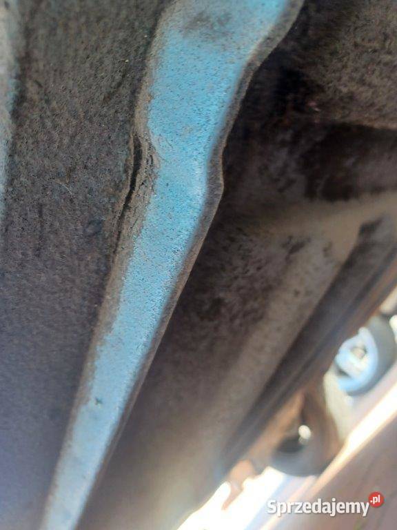 seicento 2004 11 Buk