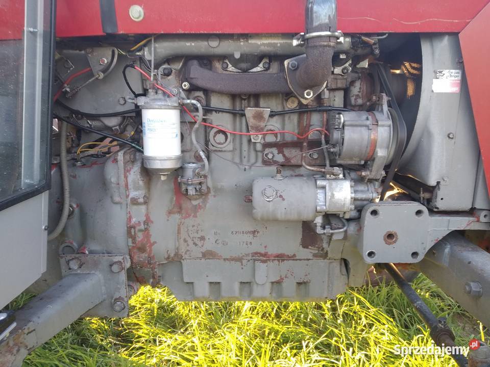 Massey Ferguson 265 Perkins 4 cylindry 60 Wielgomłyny