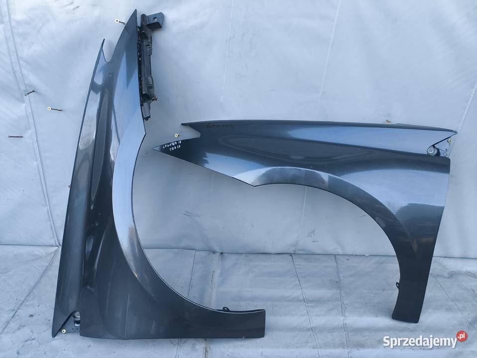 RENAULT LAGUNA III 3 BŁOTNIK LEWY PRAWY PRZEDNI