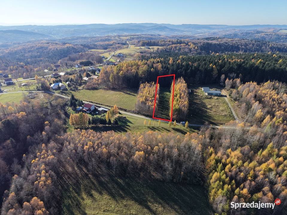 Działka lesie Gwoznica Górna