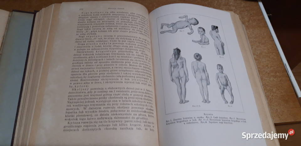 Encyklopedja ŻyciaT12 Rodowski Poznań1930 Iwno