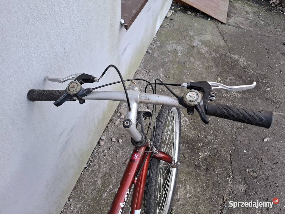 Rower górski 26 Thorn pomorskie Sztum