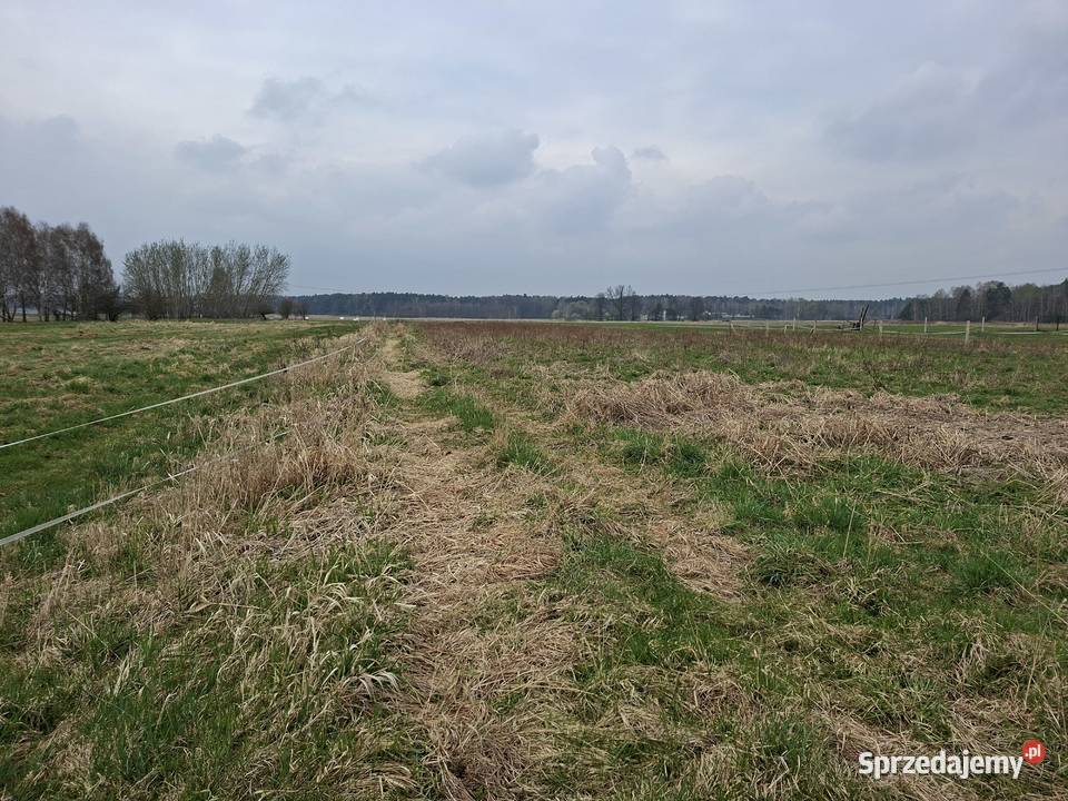 Działki budowlane budowlana świętokrzyskie Włoszczowa