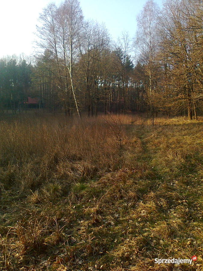 Atrakcyja Działka 200m Jeziora Lesie warmińsko-mazurskie