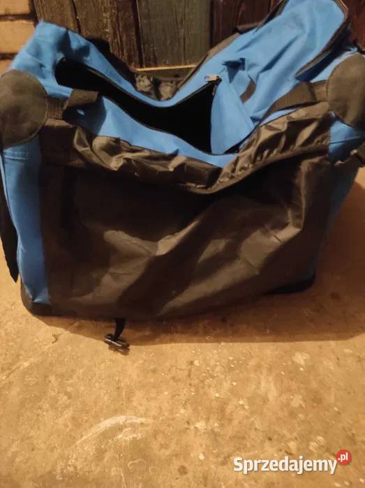 transporter kota Końskie