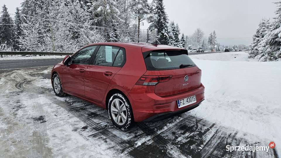 Volkswagen Golf 8 Hatchback Rabka-Zdrój