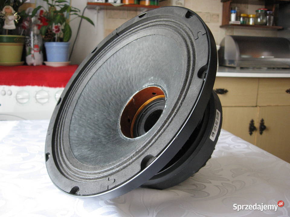 10 Inch Coaxial Speakers 300 W LF Driver and 80 Świebodzice