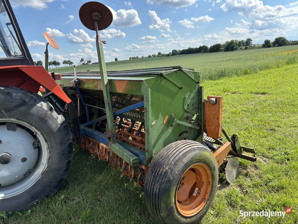 Amazone d840 4m talerzowy pomorskie Prabuty
