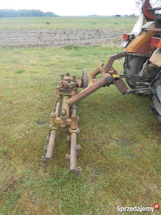 brona aktywna śląskie Dąbrowa Zielona