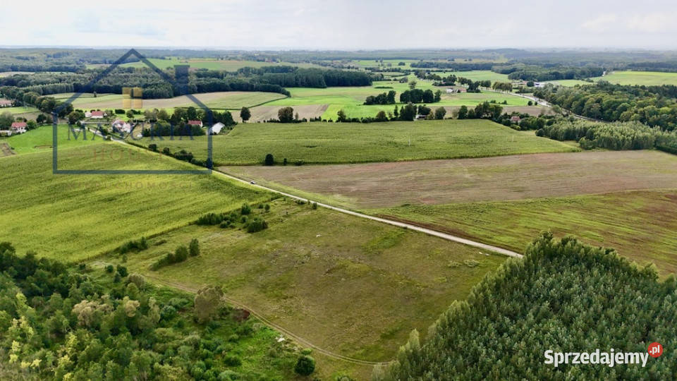 Ostatnie działki z linią brzegową do j Ewingi polna Półwieś