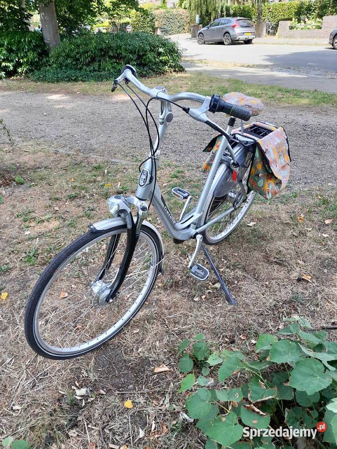 DAMKA GAZELLE Łuków