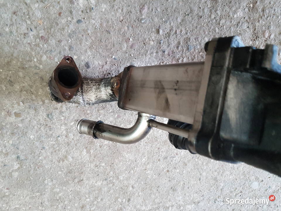PEUGEOT 4007 22 HDI FORD TDCI CHLODNICA SPALIN terenowe Turkowice