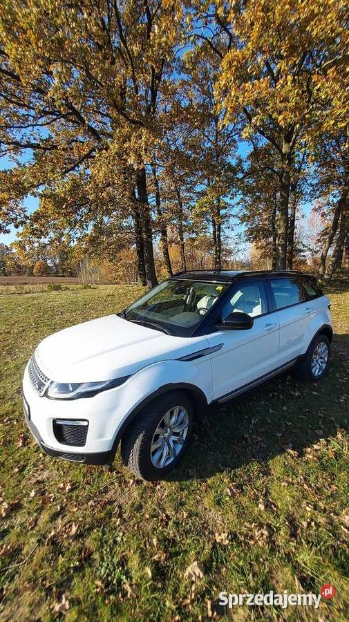 Okazja tanio sprzedam RANGE ROVER EVOGUE lift wielofunkcyjna kierownica Range Rover Evoque Land Rover Jelenia Góra