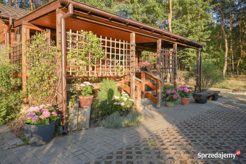 Działka leśna z domkiem na sprzedaż Rozniszew