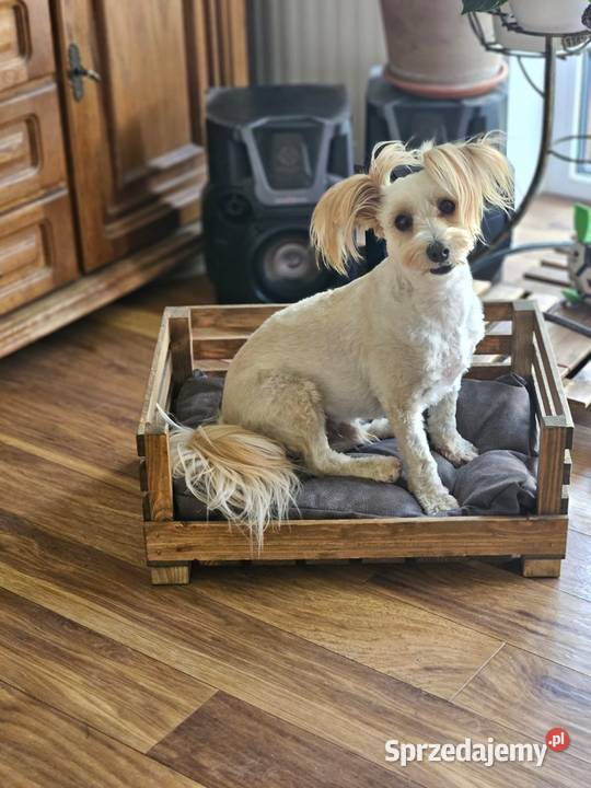Drewniane legowisko psakota z poduszką handmade Poznań