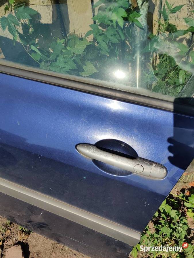 Drzwi przednie lewe Renault Megane II niebieskie Strzelce Krajeńskie