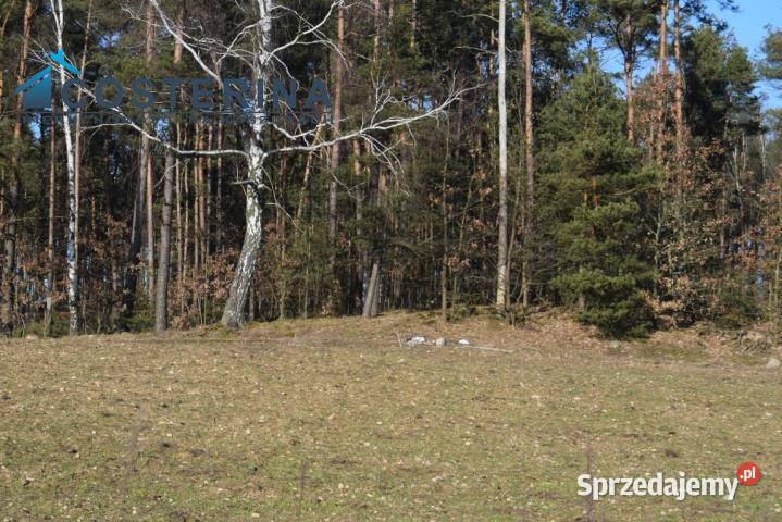 Grunt Kalisz 1020m2 pomorskie