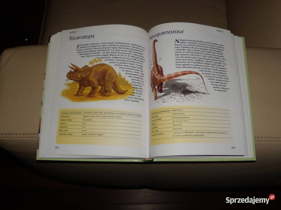 Dinozaury allozaura do tyranozaura Warszawa