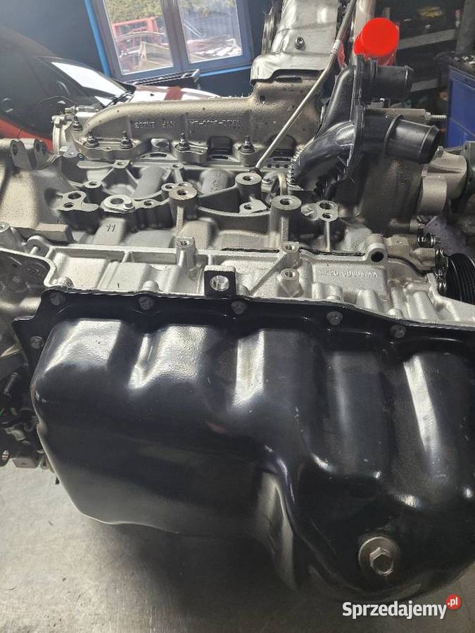 Rozrząd Ford 2011524 2301157 2011555 GK2Q8A615AA dostawcze Radom