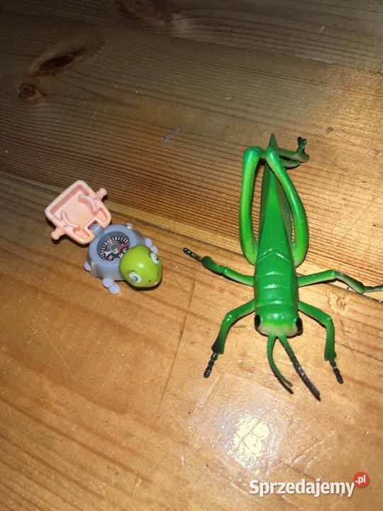 figurka żółw kompas i konik polny pasikonik duża