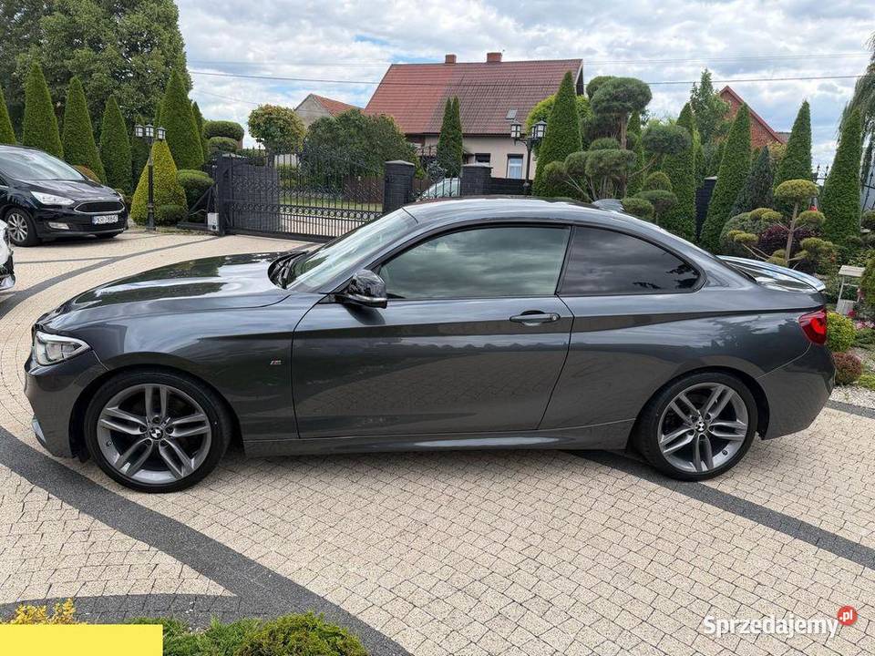 BMW Seria 2 225d Sport Automat Coupe Diesel 218 1995cm3 Seria 2 wielkopolskie Krotoszyn