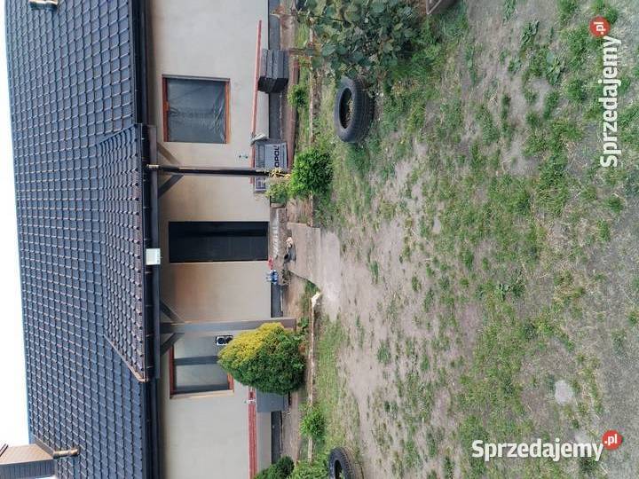 Siedlisko Dom plus4 budynki gospodarcze Liczba pokoi 4 Sprzedaż Sochocino-Badurki