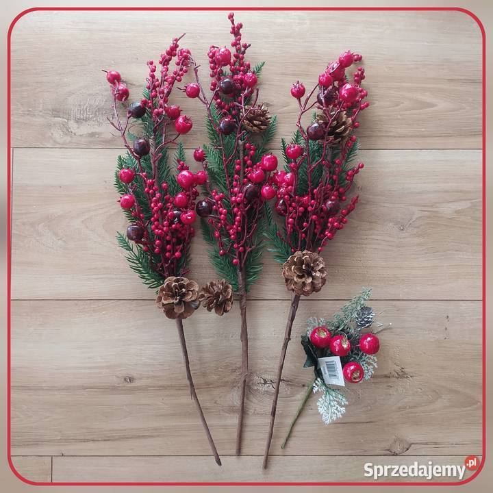 Gałązka bawełny dekoracyjna ostrokrzew Koszalin