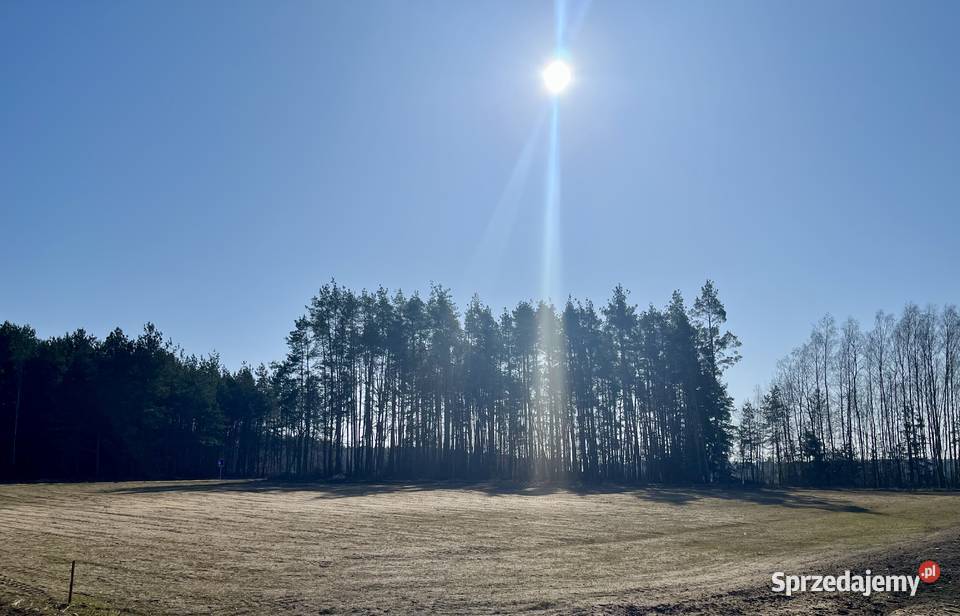 Sprzedam działkę budowlaną 4669 m spokojna i budowlana Dobrzyjałowo sprzedam