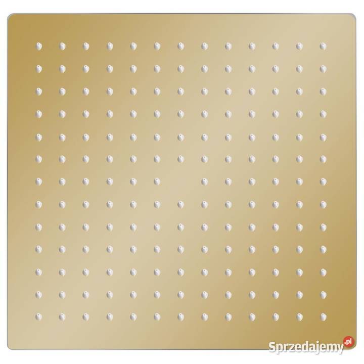 vidaXL Deszczownica ze stali nierdzewnej 30x30 Warszawa