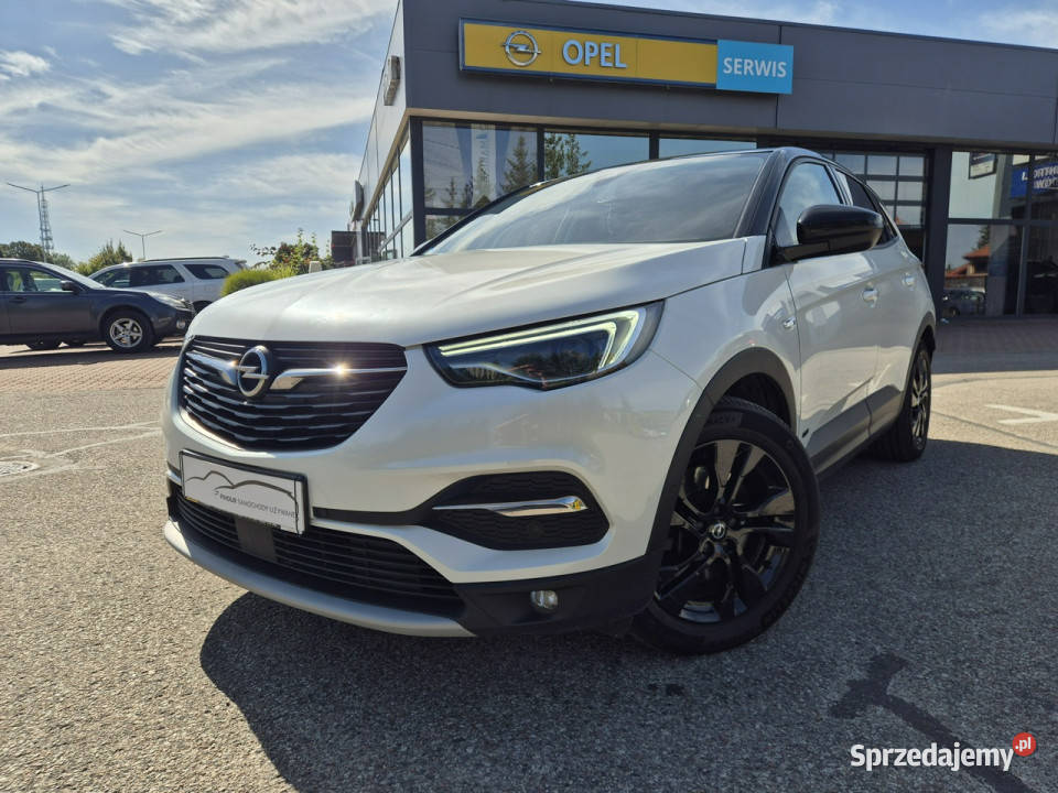 Opel Grandland X Opel Grandland X Design Line 16 ASR (kontrola trakcji) Giżycko