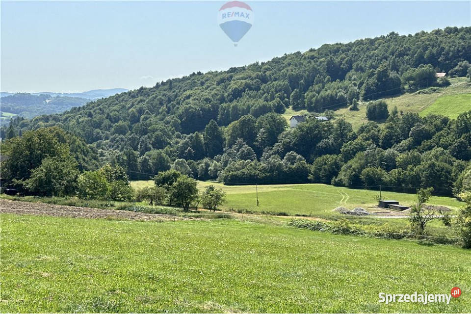 Grunty 5 400 m widok las i działka z WZ małopolskie Młynne sprzedam