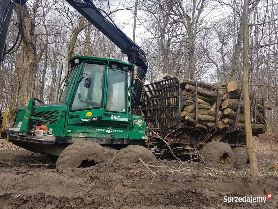 Wycinka Drzew utylizacja zielonej masy podnośnik Szczecin prace ogrodowe