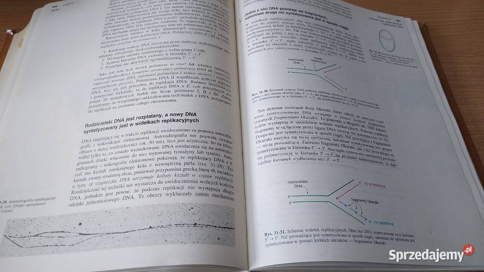 Biochemia Lubert Stryer WYDANIE NOWE 1997