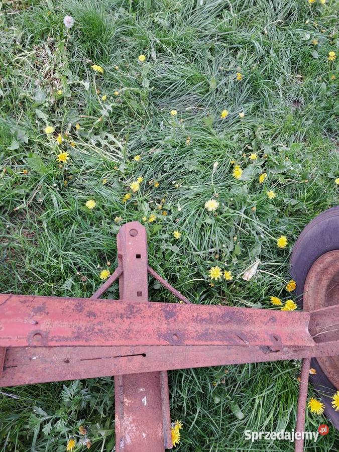 Wózek transportowy hedra Długołęka