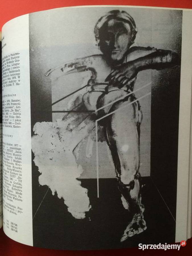 2359 12 Festiwal Polskiego Malarstwa Szczecin sprzedam