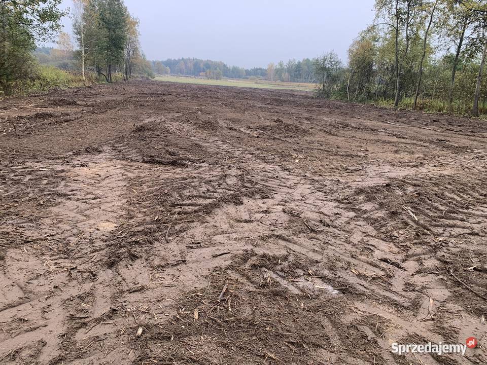 Karczowanie działek pod inwestycje mulczowanie Brzesko