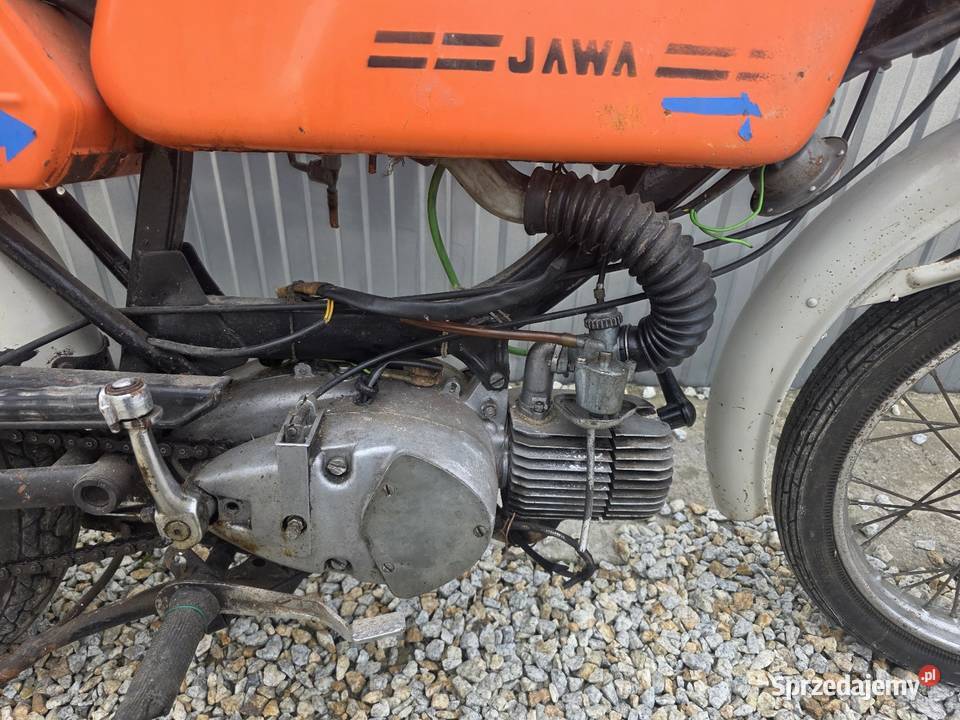 Jawka Mustang Bratoszów