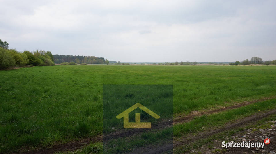 Nieruchomość w Całowaniu 0m Całowanie