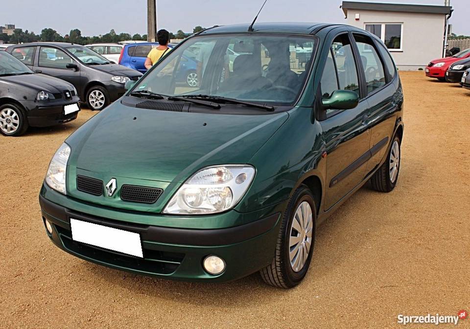 Renault zielony Scenic Strzegom
