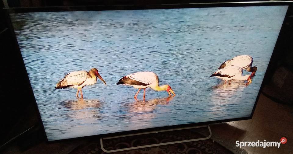 TV LED Smart 48 Full HD SONY Bravia z DVBT2 48cale Warszawa sprzedam