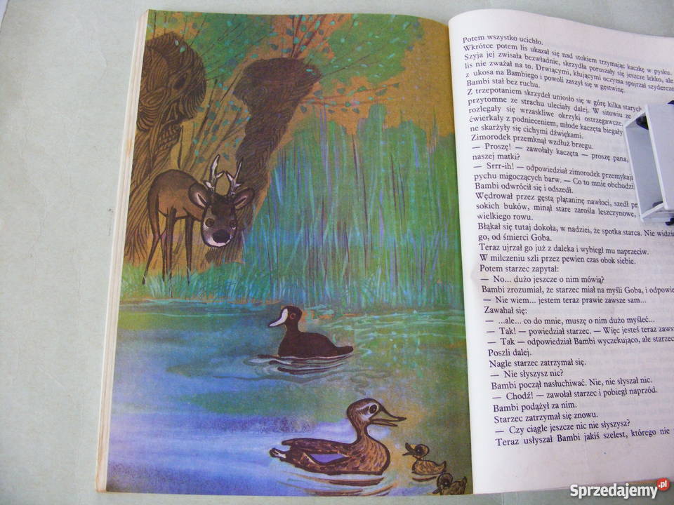 Bambi Przygody Filonka Bezogonka Autobus ogromny dolnośląskie Oborniki Śląskie