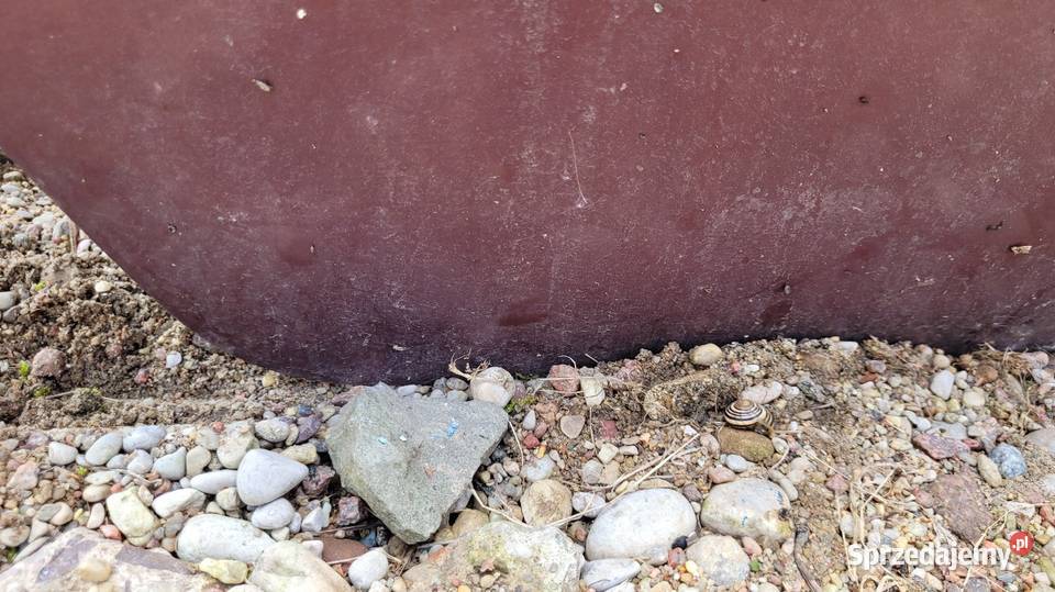 Drzwi Nissan Micra K11 Łagów