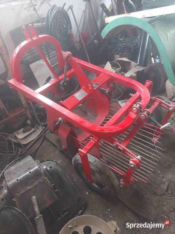 Kopaczka jednorzędowa podkarpackie Domaradz